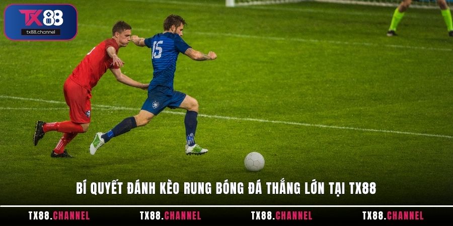 Bí quyết đánh kèo rung bóng đá thắng lớn tại TX88