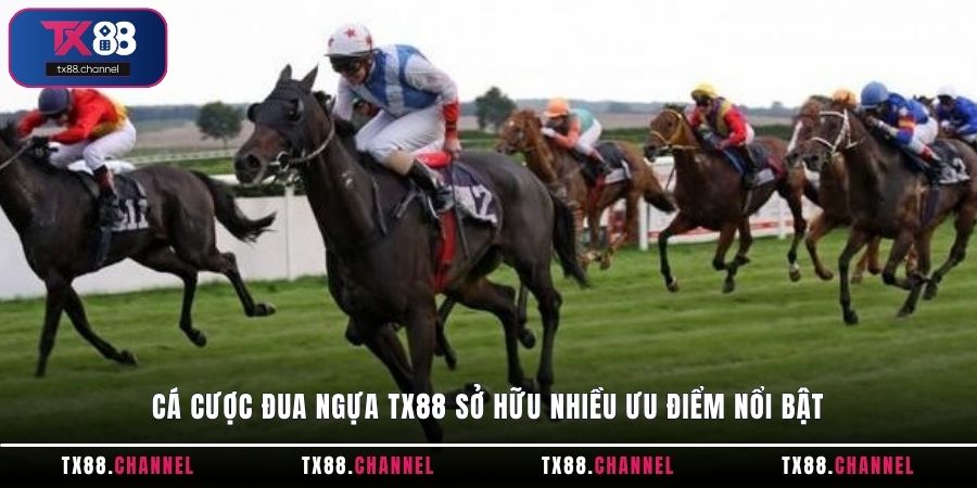 Cá cược Đua Ngựa TX88 sở hữu nhiều ưu điểm nổi bật