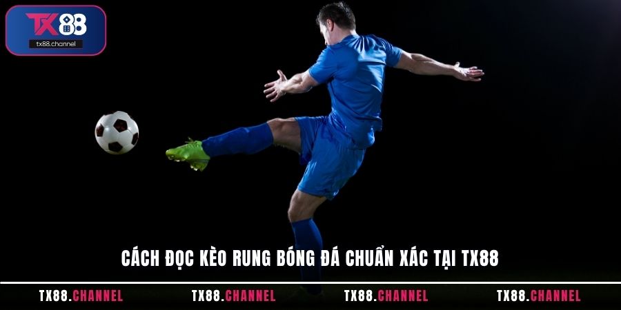 Cách đọc kèo rung bóng đá chuẩn xác tại TX88
