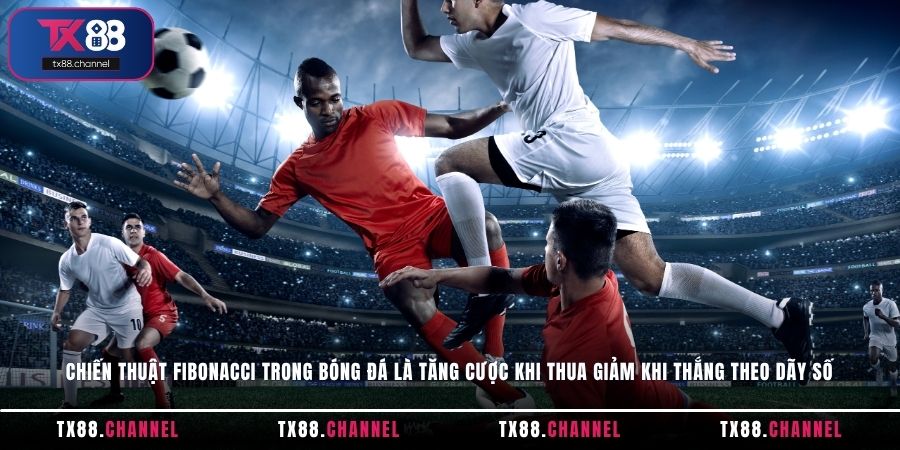 Chiến thuật Fibonacci trong bóng đá là tăng cược khi thua, giảm khi thắng theo dãy số