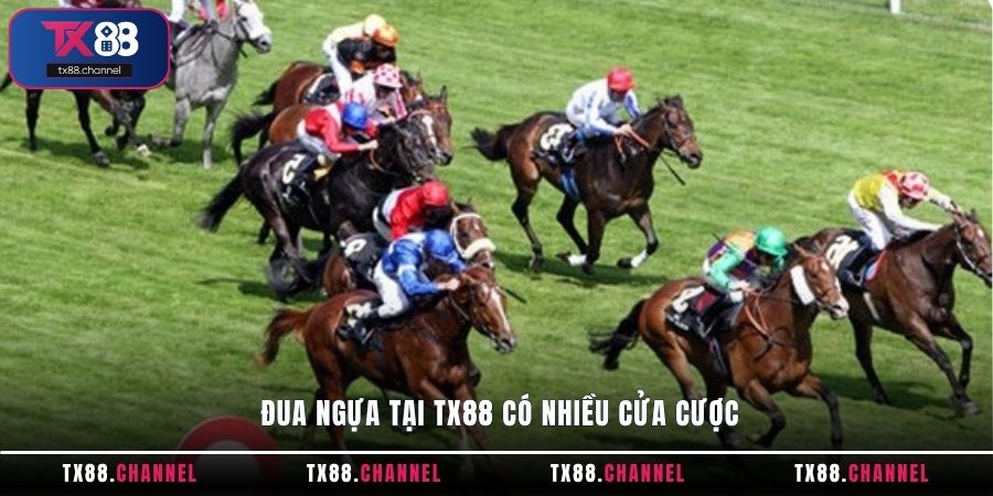 Đua Ngựa tại TX88 có nhiều cửa cược