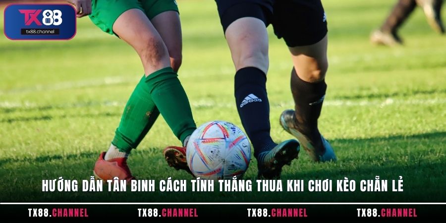 Hướng dẫn tân binh cách tính thắng thua khi chơi kèo Chẵn Lẻ