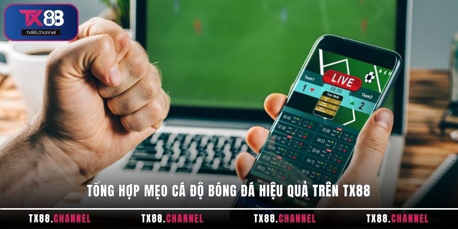 Tổng hợp mẹo cá độ Bóng Đá hiệu quả trên TX88